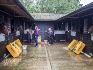 AK300921-86 - Alan King Stable Visit